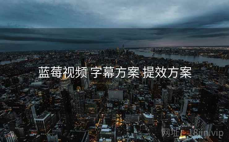 蓝莓视频 字幕方案 提效方案