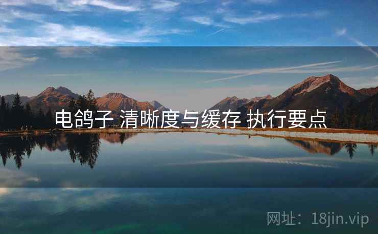 电鸽子 清晰度与缓存 执行要点
