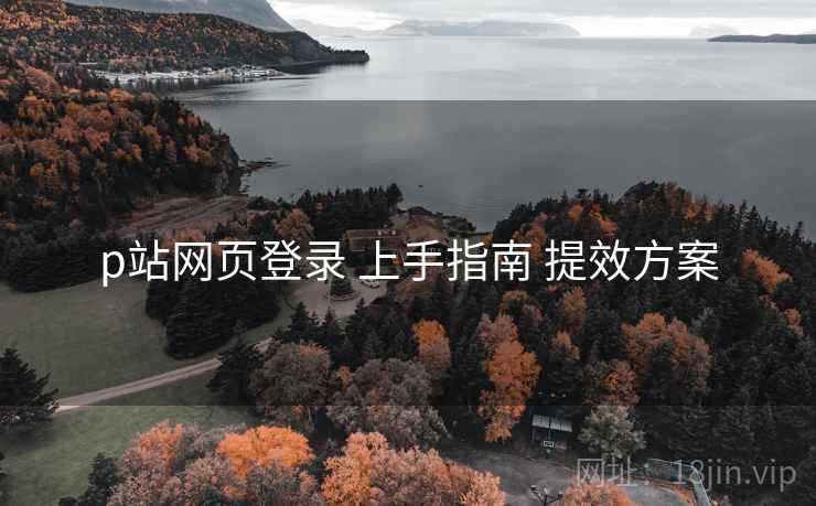 p站网页登录 上手指南 提效方案