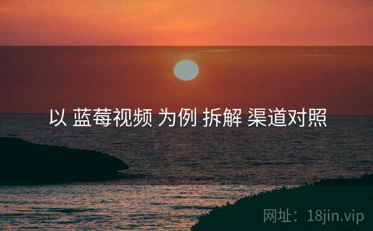 以 蓝莓视频 为例 拆解 渠道对照