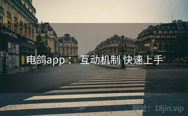 电鸽app ： 互动机制 快速上手