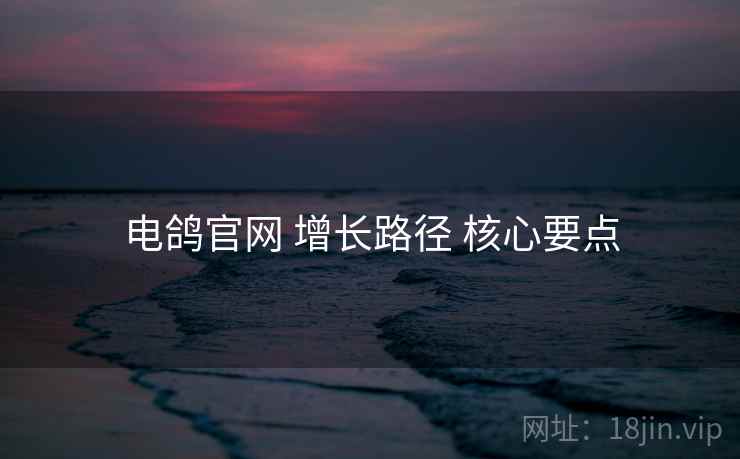 电鸽官网 增长路径 核心要点