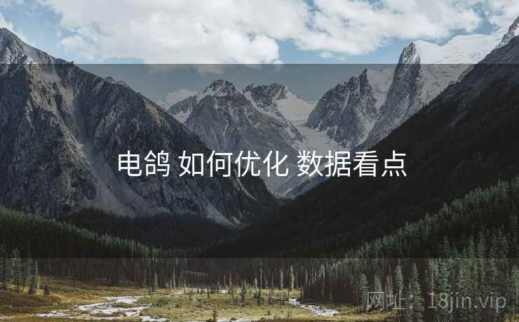 电鸽 如何优化 数据看点