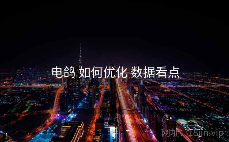 电鸽 如何优化 数据看点