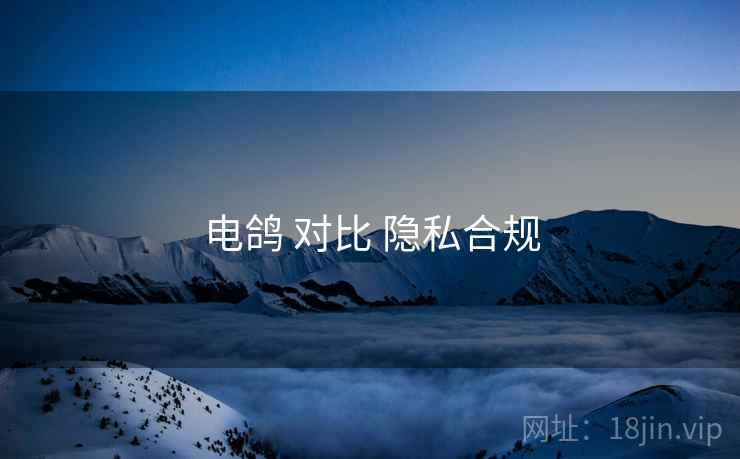 电鸽 对比 隐私合规