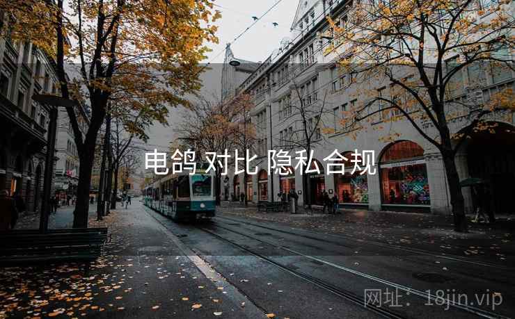 电鸽 对比 隐私合规