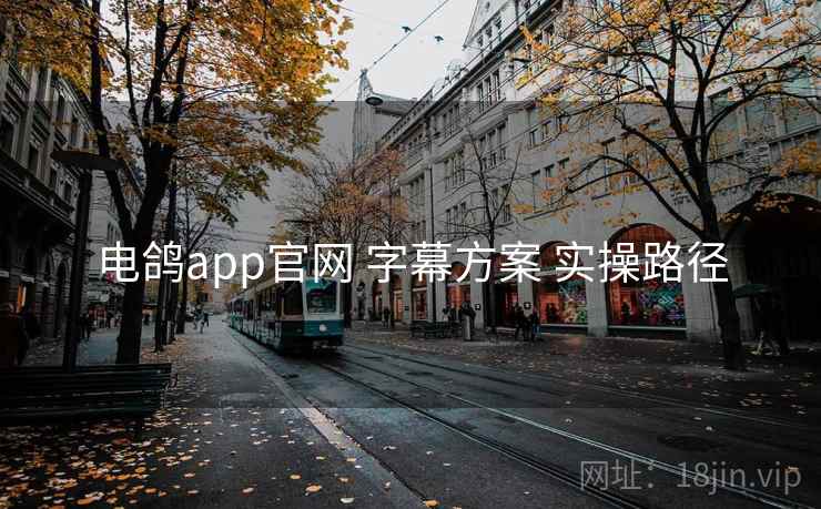 电鸽app官网 字幕方案 实操路径