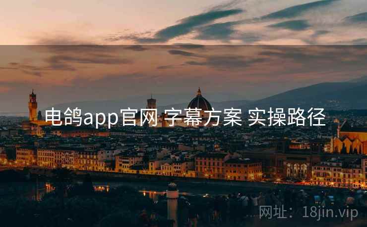 电鸽app官网 字幕方案 实操路径