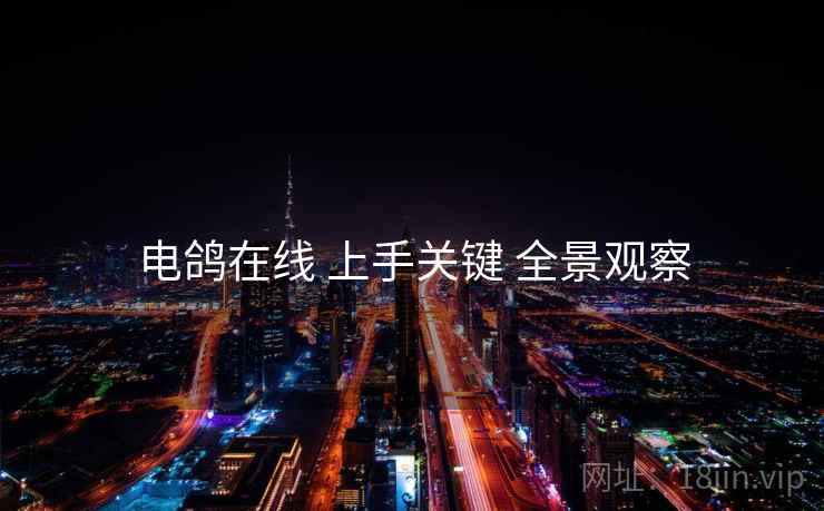 电鸽在线 上手关键 全景观察